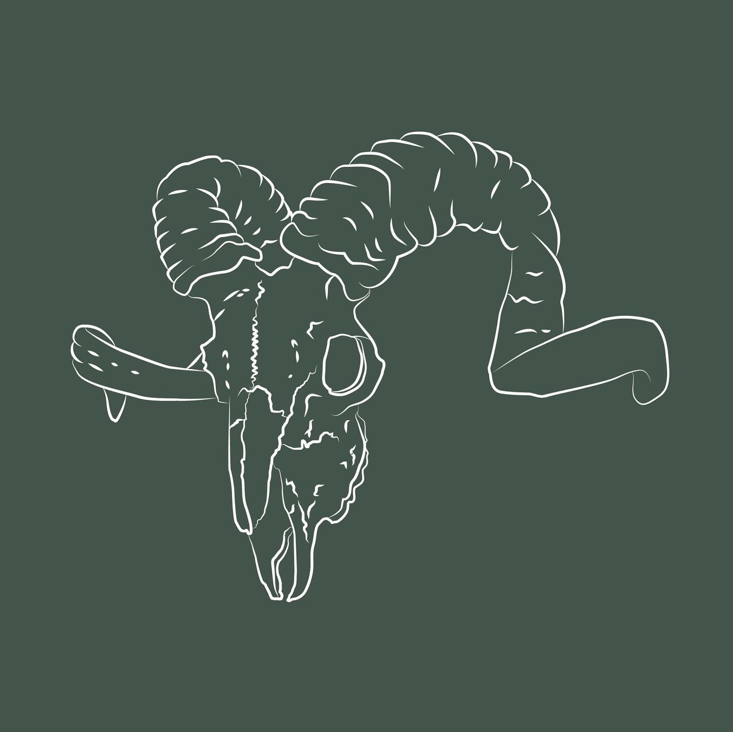 Animal Skull Study 1
