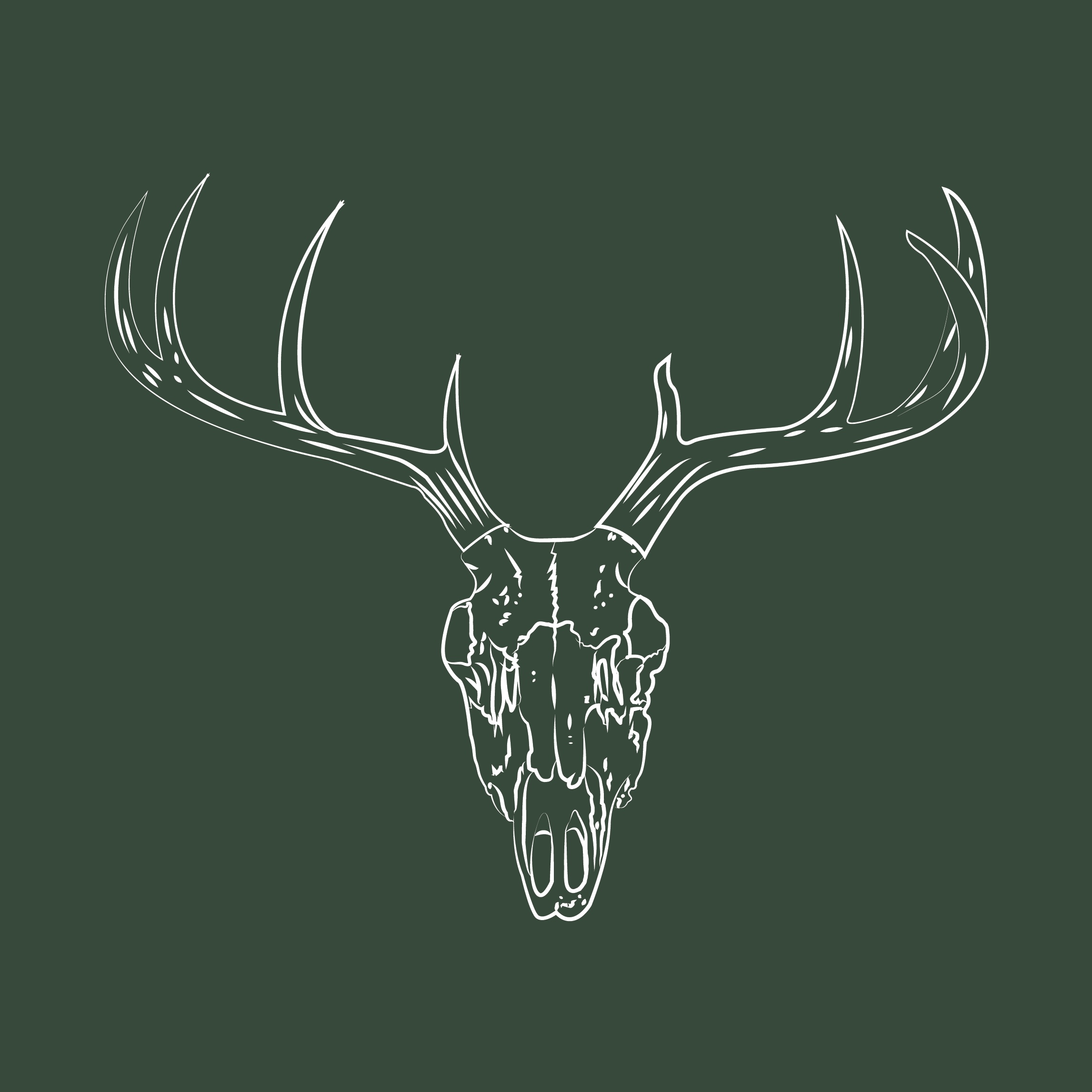 Animal Skull Study 2