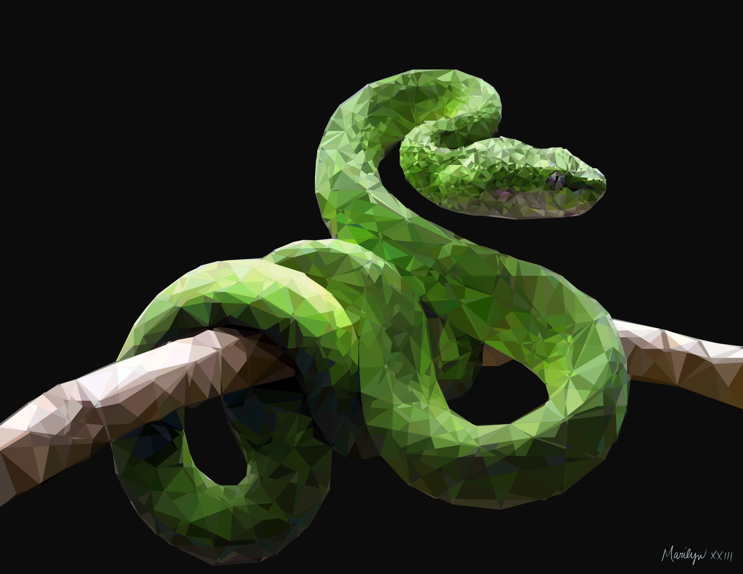 Poly Snake 3D
