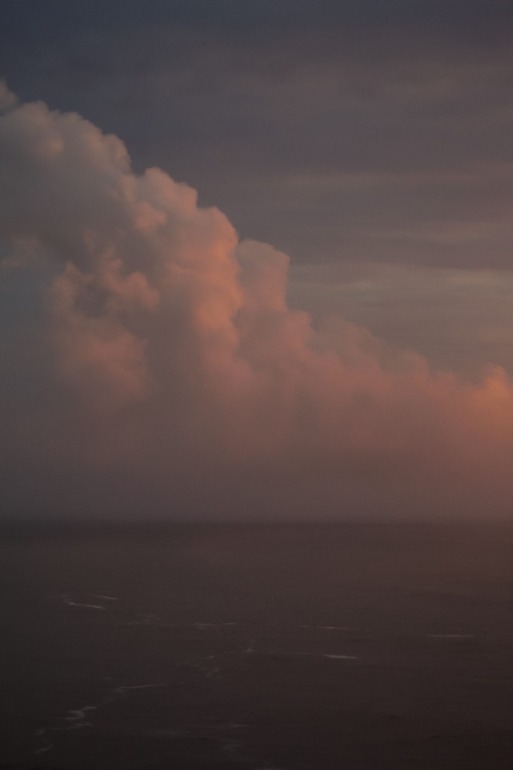 Nature Photography