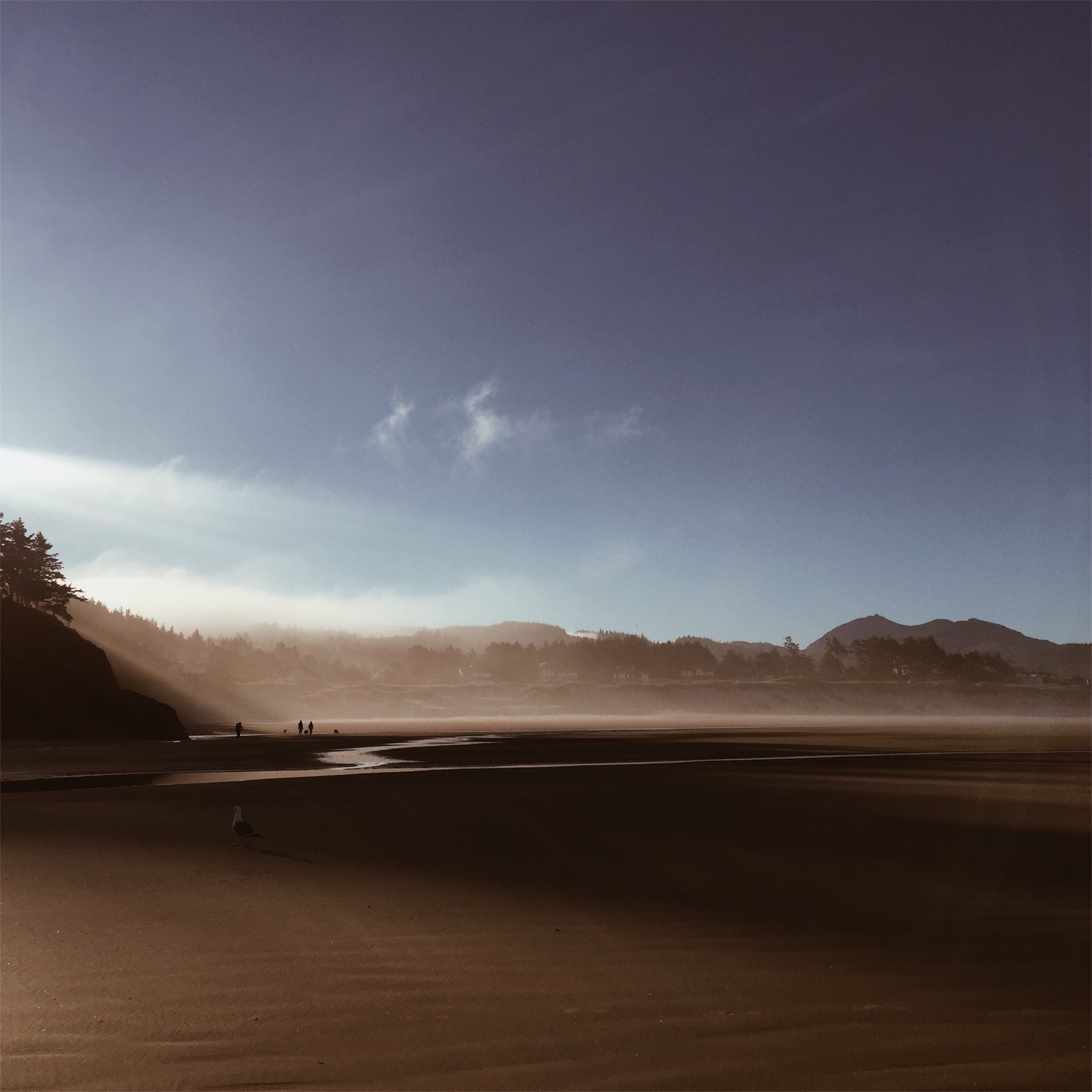 Landscape Photography
